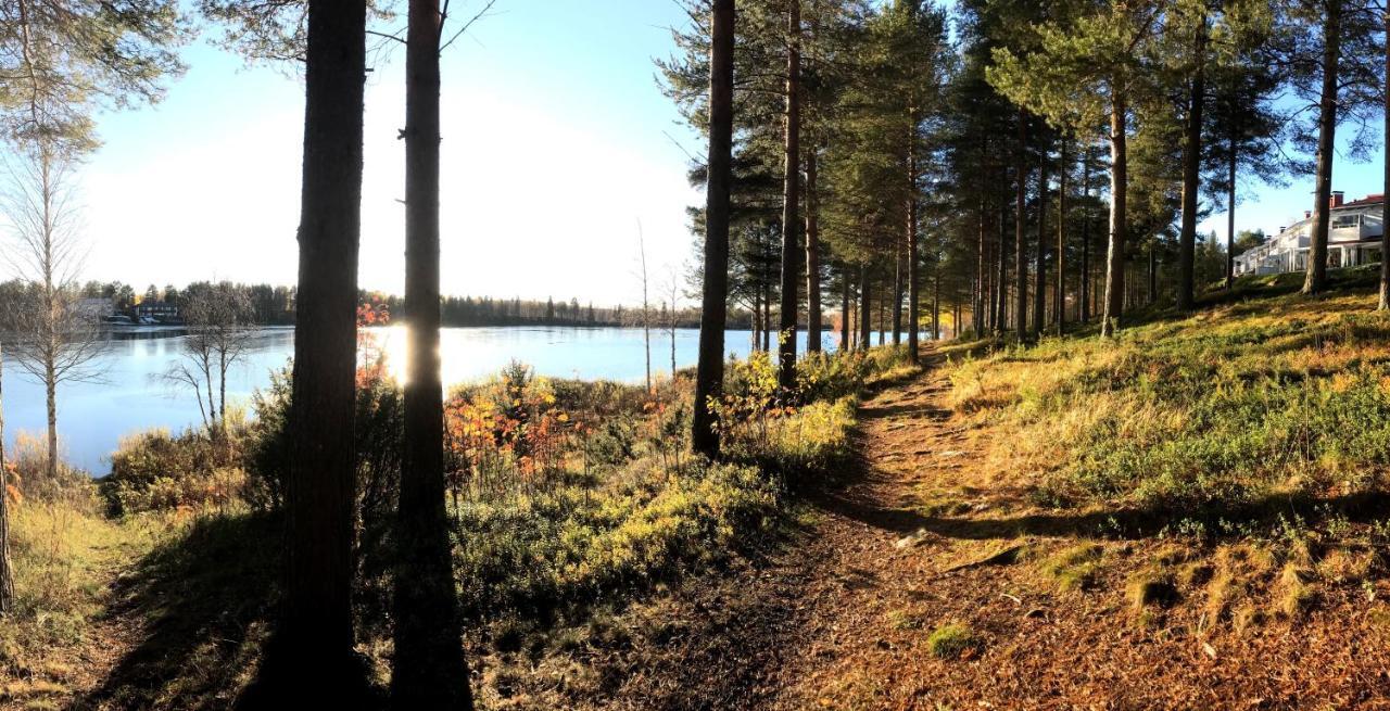 Arctic Sofia Riverstudio Rovaniemi Bagian luar foto