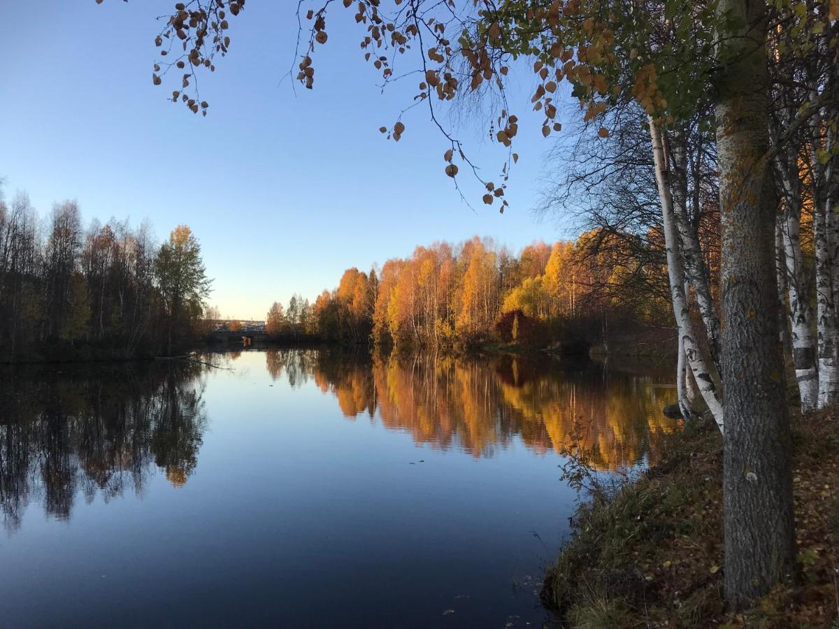 Arctic Sofia Riverstudio Rovaniemi Bagian luar foto