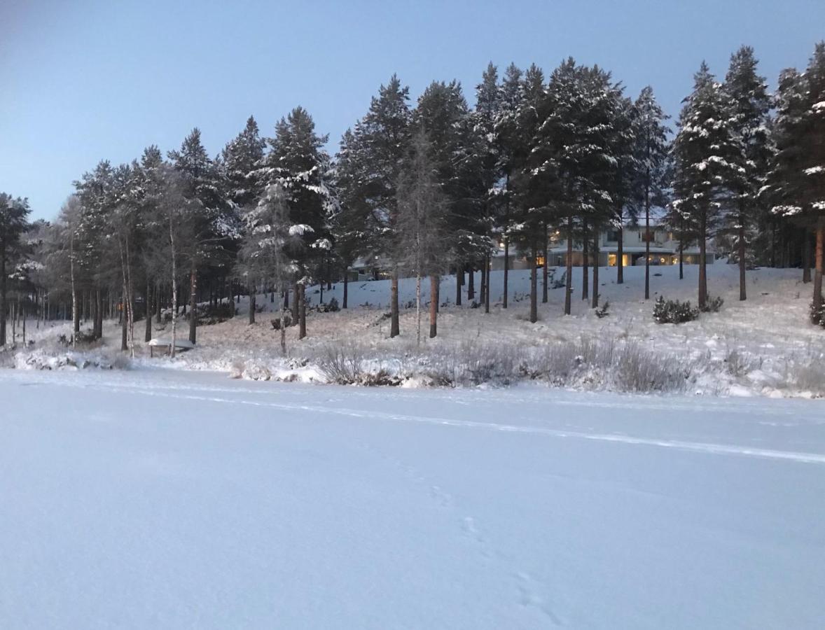 Arctic Sofia Riverstudio Rovaniemi Bagian luar foto