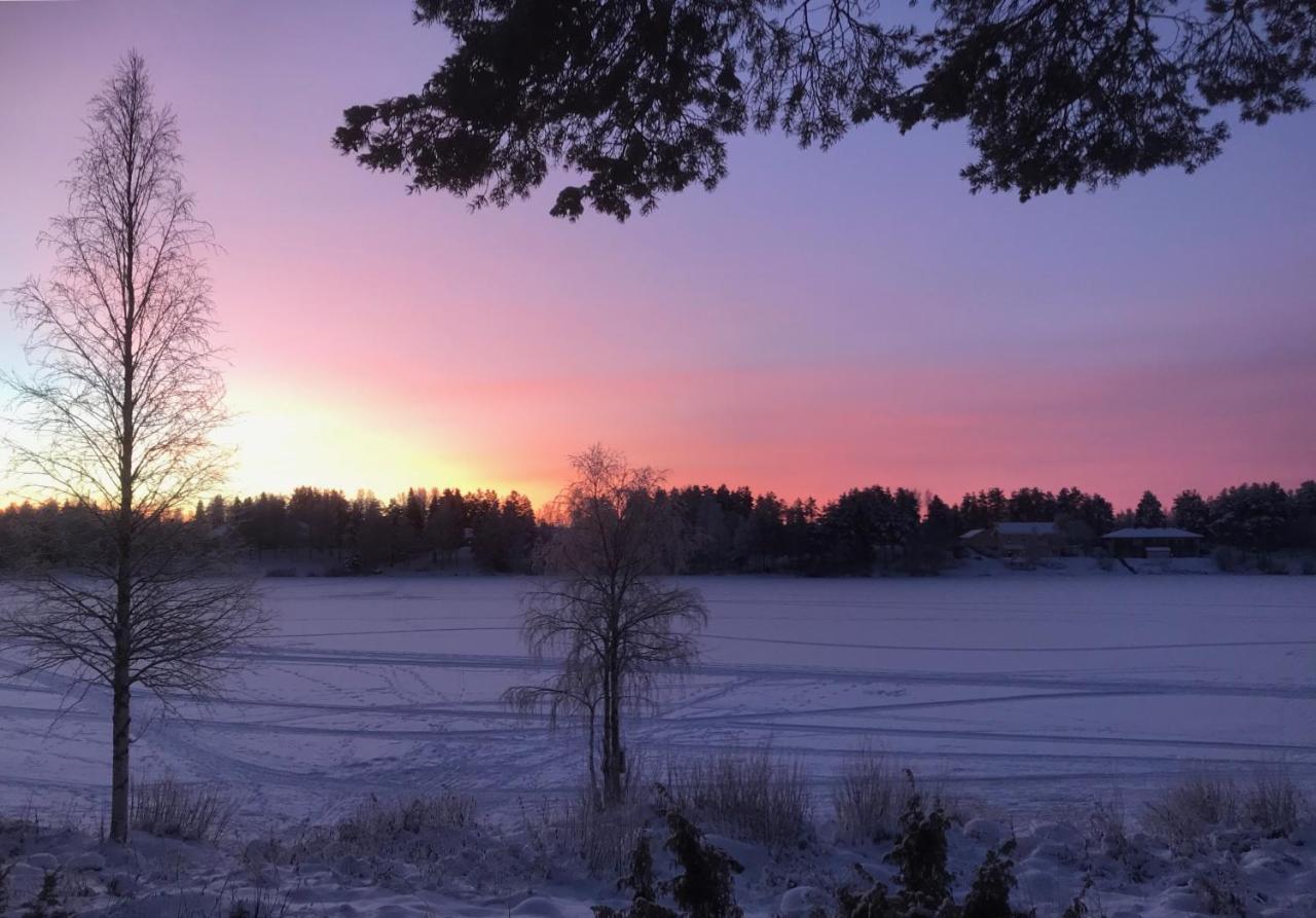 Arctic Sofia Riverstudio Rovaniemi Bagian luar foto